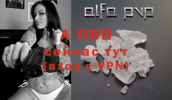 Альфа ПВП Новозыбков