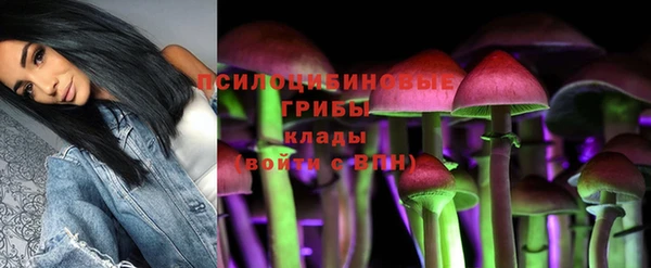 гашиш Новокубанск