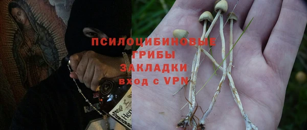 Альфа ПВП Новозыбков